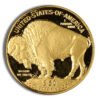 2006-W 1 oz Proof Gold Buffalo (w/Box & COA)