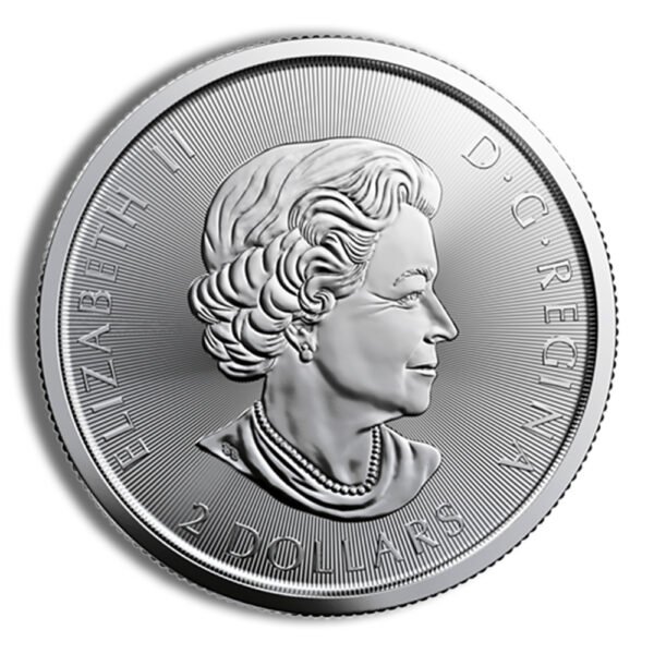 1/2 oz Canadian Red Tail Hawk Silver Coin (Year Varies)