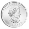 1.25 oz Canadian Bison Silver Coin (Year Varies)