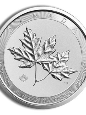 2 oz Canadian Twin Maple Leaf Silver Coin (Year Varies)