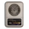 2021(P) Silver Eagle NGC MS70 ER - Emergency Production