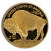 2016-W 1 oz Proof Gold Buffalo (w/Box & COA)