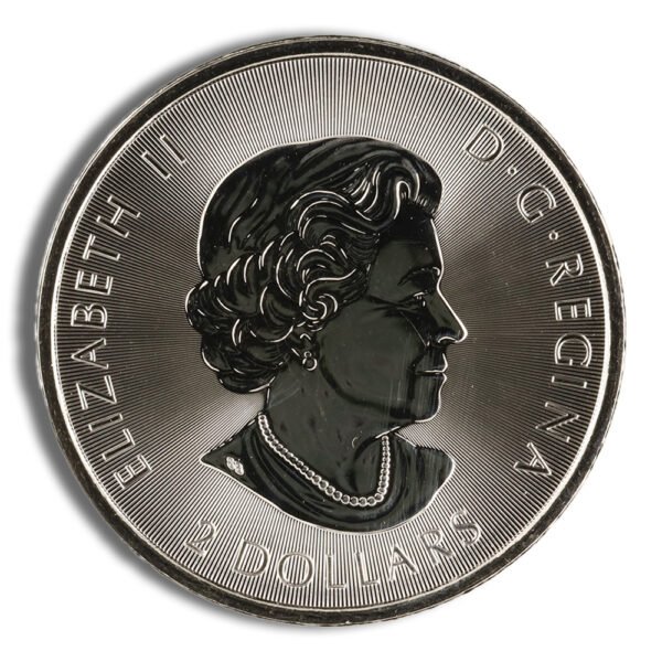 2019 1/2 oz Canadian Polar Bear Silver Coin