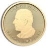 2025 1/2 oz Gold Maple Leaf