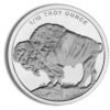 1/10 oz Silver Round - Buffalo