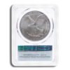 2022 Silver Eagle PCGS MS70 First Strike - Flag