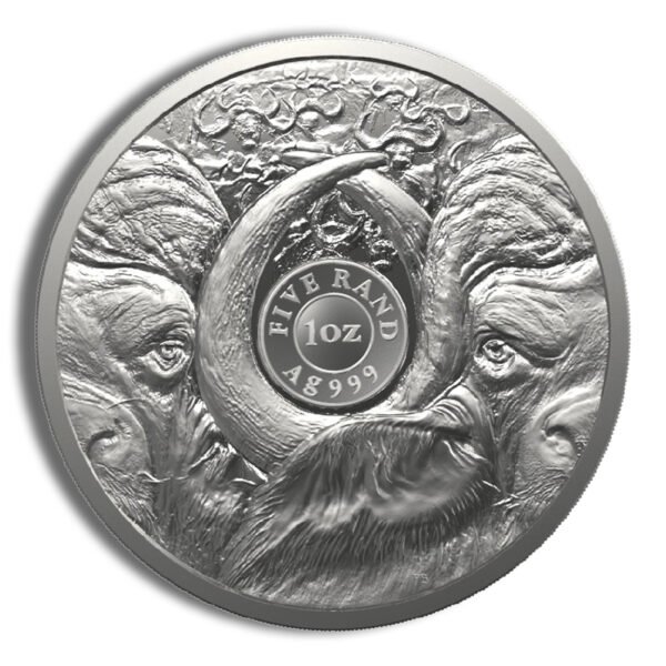 2023 1 oz Silver South African Big 5 Buffalo Coin - Series II