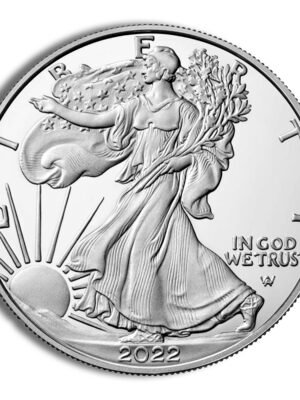 id8490846c3373346hTBtLdpROmlySHcH5zooAbbhuoUIYMkes2IZT5iQ79Pdl9Ub7ext-1.jpg 2022 Silver Eagle NGC MS70 - Brown Label