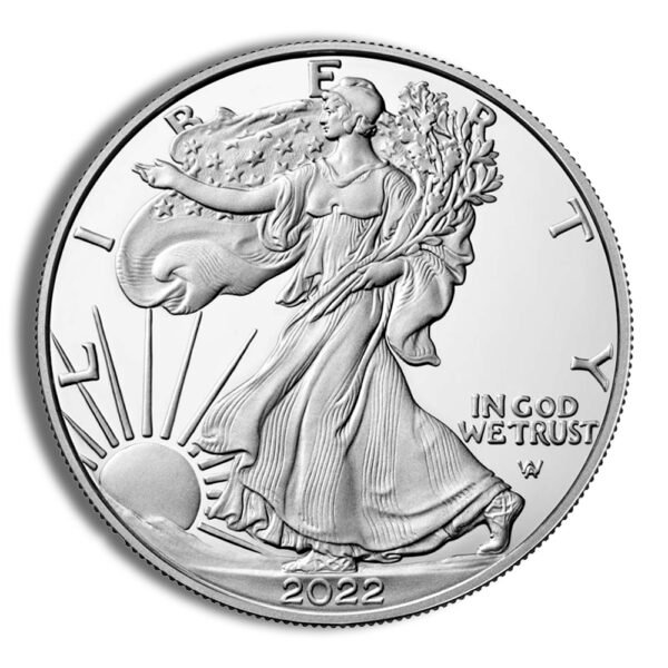 2022 Silver Eagle NGC MS70 - Brown Label