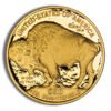 2010-W 1 oz Proof Gold Buffalo (w/Box & COA)